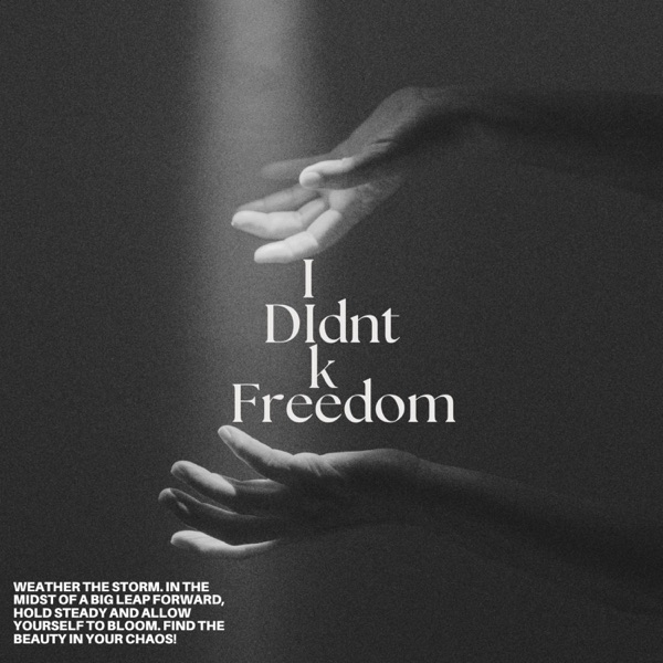 IdidntkFreedom - Single
