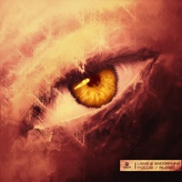 Focus / Russo - Single - Leks & Endorphine