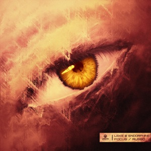 Focus / Russo - Single