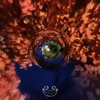 still here freestyle - Single - YOUNG$TER