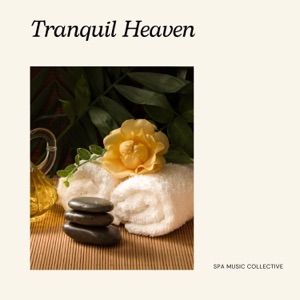 Tranquil Haven: Spa Music