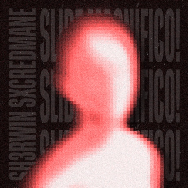 SLIDE MAGNÍFICO - Gambling Remix - EP