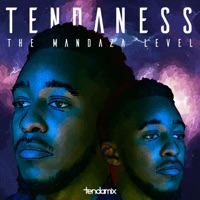 The Mandaza Level - Single - Tendaness