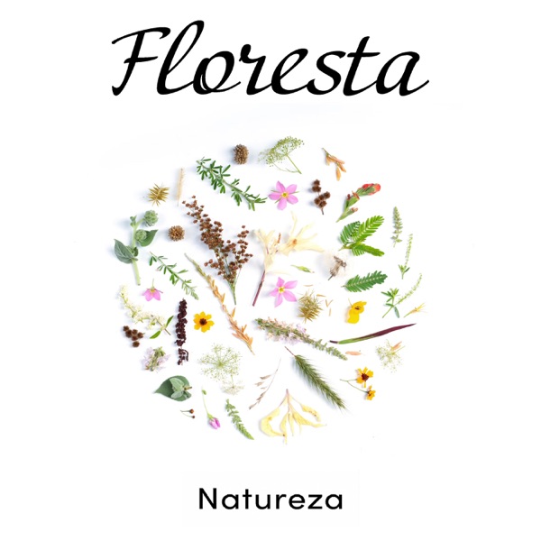 Floresta