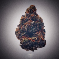 Gaspack (feat. BigM Sounds & Ener) - Single - Lcv