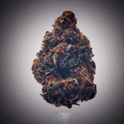 Gaspack (feat. BigM Sounds & Ener) - Single