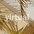 Virtual