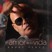 El Amor de Tu Vida artwork