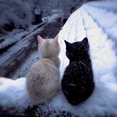 you're my type! (feat. below! & 4evvr) - Single