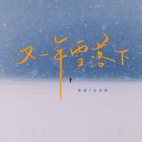 又一年雪落下 - Single - 金成博 & Wo Wo