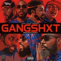 GANGSHXT (feat. Crysis the villain, Saucegod5iv3, KINGBOO59, D j nell da don, TaCaRaChI & Big MARV aka splitt) - Single - Flexingtwon