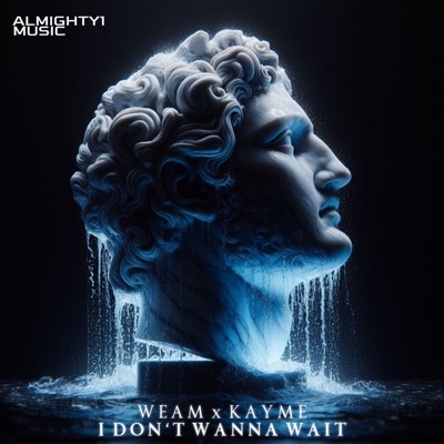 I Don't Wanna Wait - Single