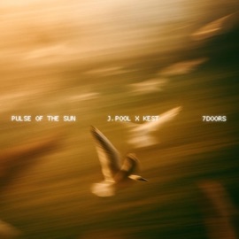 PULSE OF THE SUN Jonah Kest & J.Pool