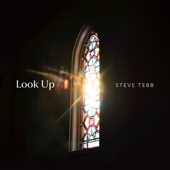 Look Up artwork