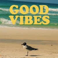 Good Vibes - Single - BKR The Black Version