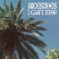 I Can't Stop - Single - Niceshoes