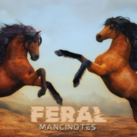 Feral - Single - Mancinotes