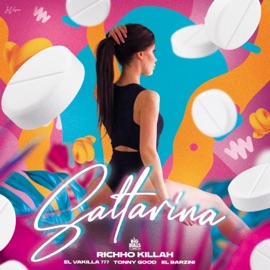 Saltarina (feat. Dimelo Tonny, El Vakilla 777 & El Barzini) Richho killah