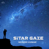 Sitar Gaze - Niladri Kumar