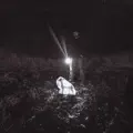Onde Vivem os Carneiros