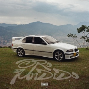 Oro Fundido (feat. dóntia & nimaca) - Single