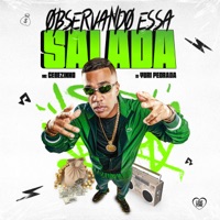 Observando Essa Salada - Single - MC Cebezinho & Dj Yuri Pedrada
