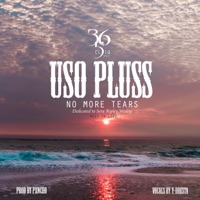 No More Tears - Single - Pluss