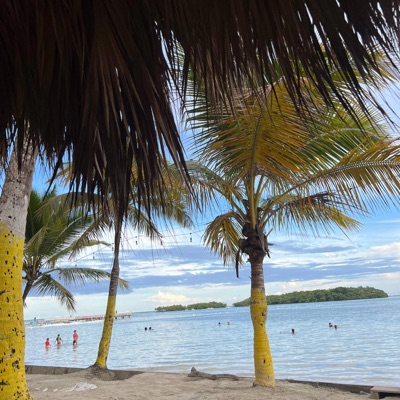 Puzzle de amor - Quiero echarme una chela