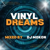 VINYL DREAMS (DJ MoKoN Remix) - Single - MoKoN