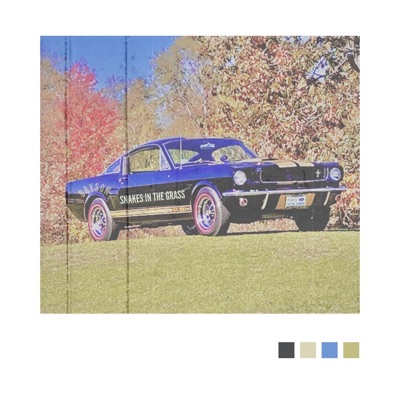 SNAKES IN THE GRASS - Single