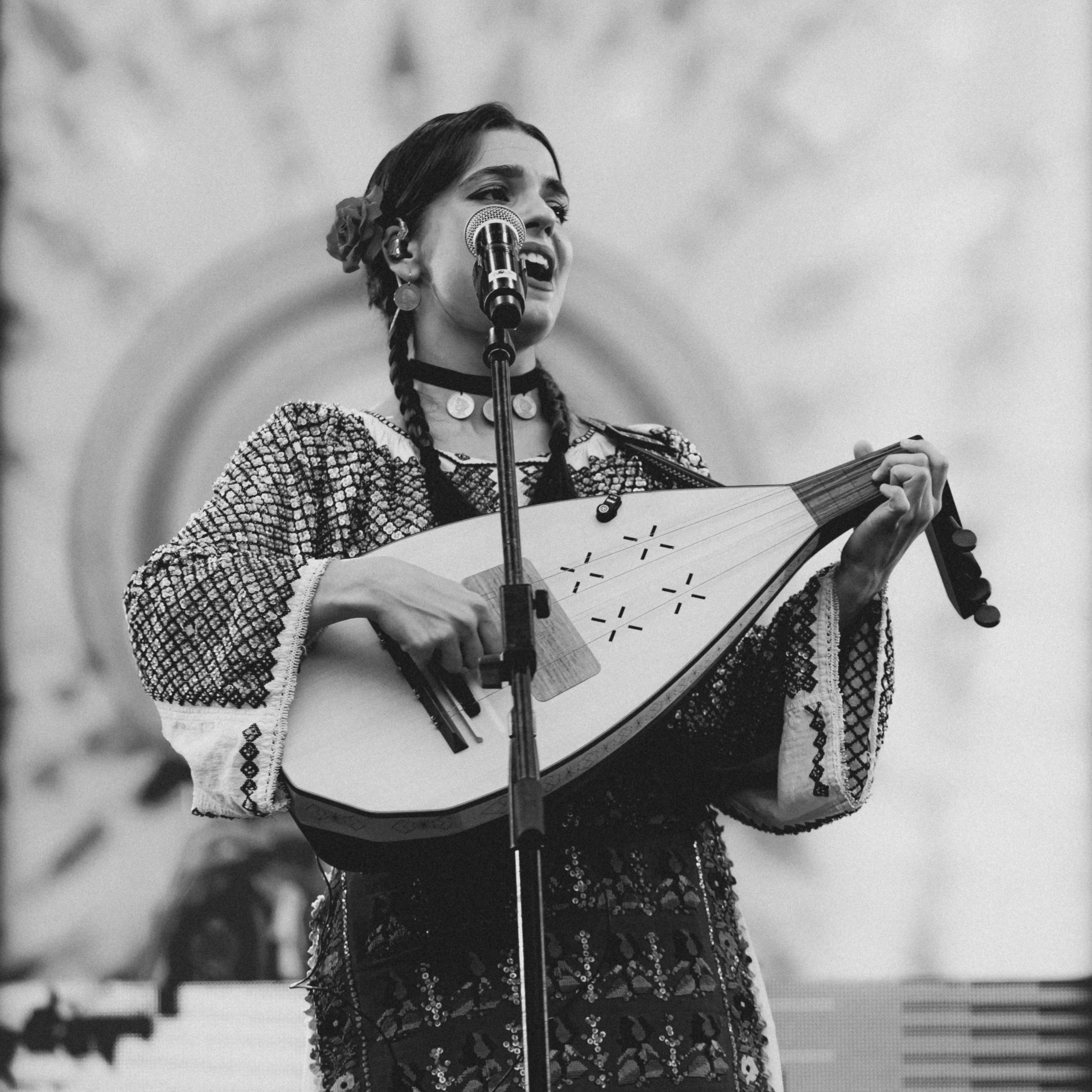 Am pus șaua sus pe cal (din repertoriul lui Liviu Vasilică) - Single