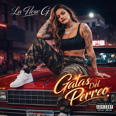 Perreo De Gata (feat. JuN JuN Music) - Single
