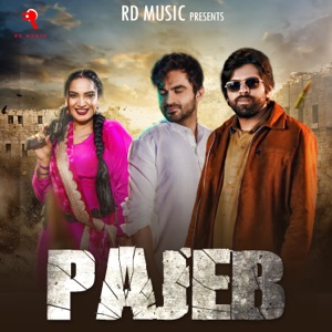 Pajeb