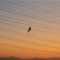 Agoraphobia - Single - Lameboysharp