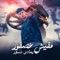 مفيش عصفور بيعادي نسور artwork