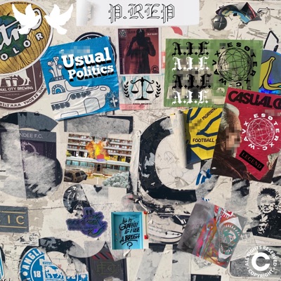 Usual Politics - Single