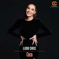 Ludo srce
