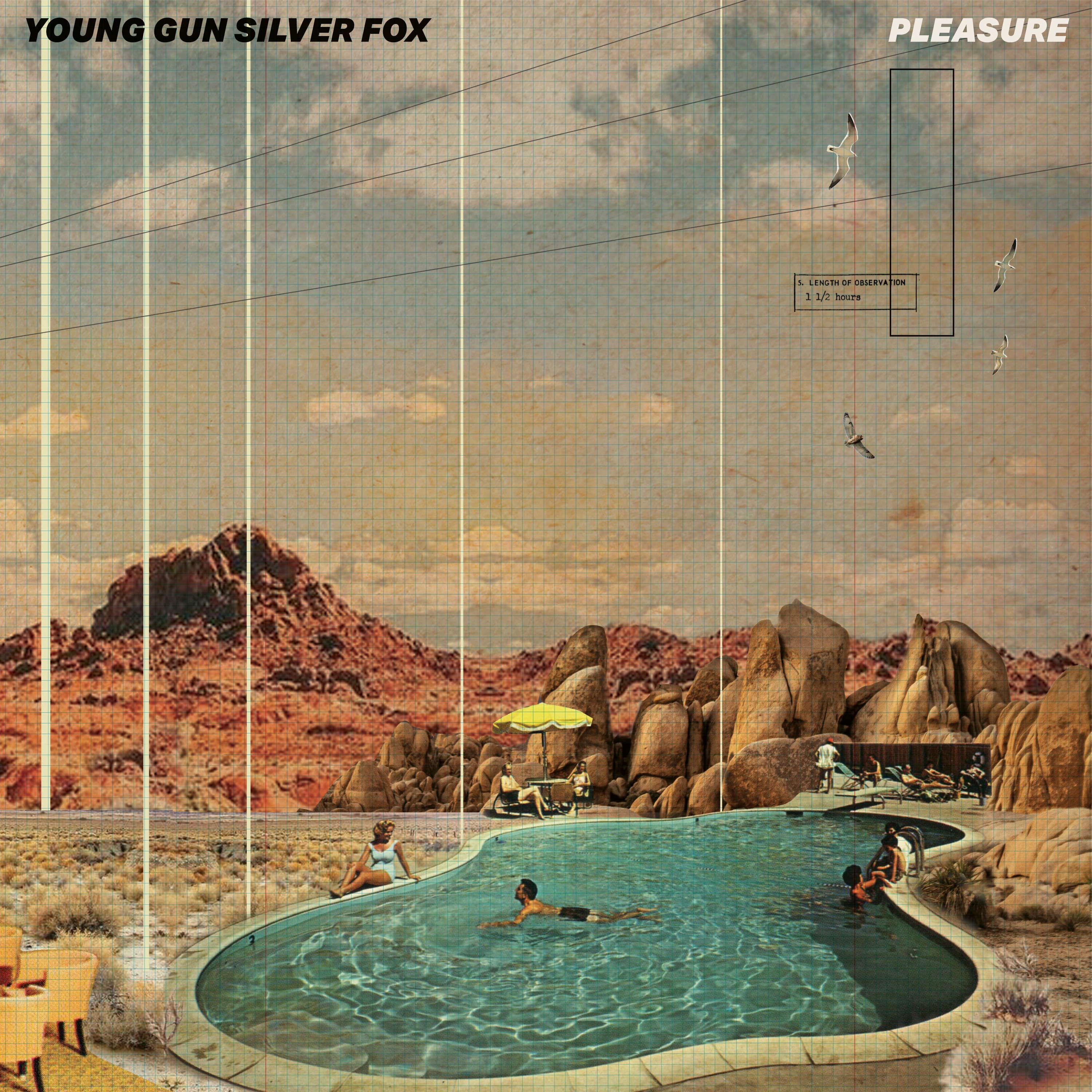 YOUNG GUN SILVER FOX 7inch Ned Dohenyカバー Stealing Time - Young Gun Silver Fox: Song Lyrics, Music Videos