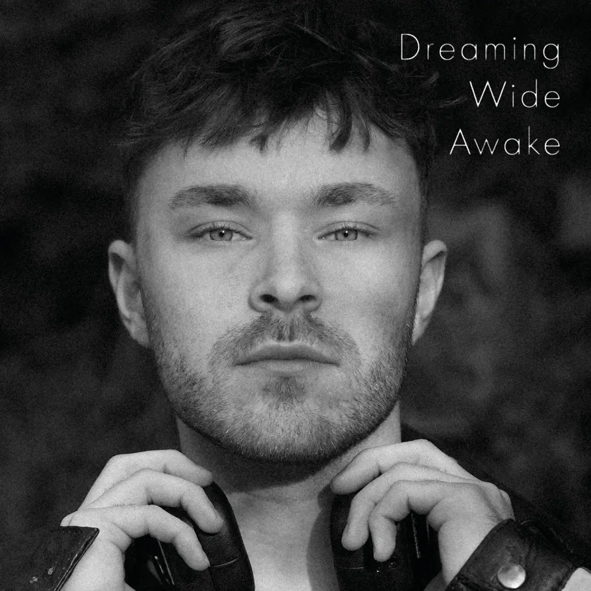 Julian Pfoertner - Dreaming Wide Awake (2024) [iTunes Plus AAC M4A]-新房子