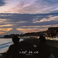 C'est La Vie - Single - ARKIZ
