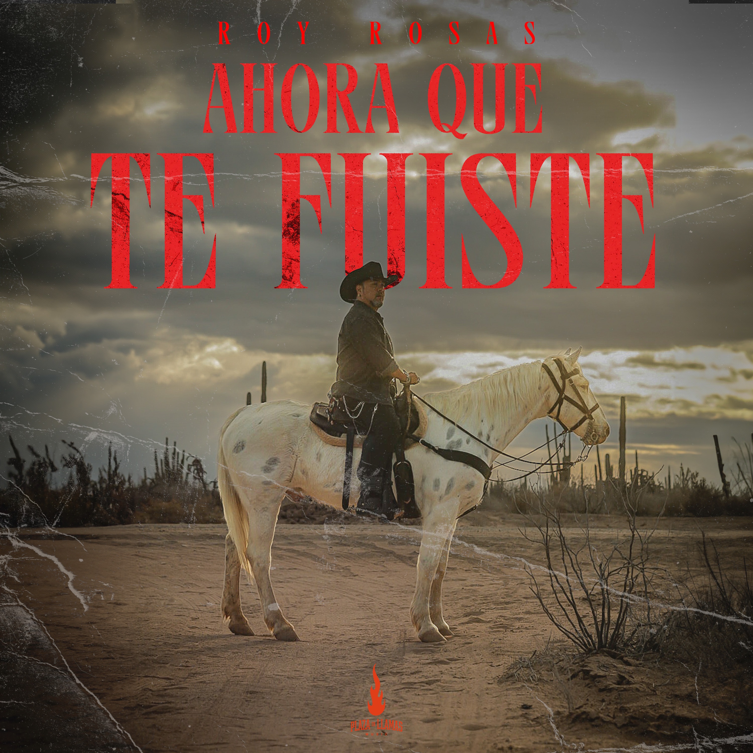 Ahora Que Te Fuiste - Single