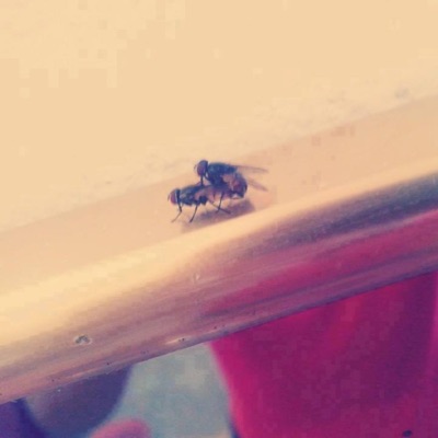 entrega pero na' (feat. rlabstracto) - Single