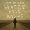 What the Wind Knows