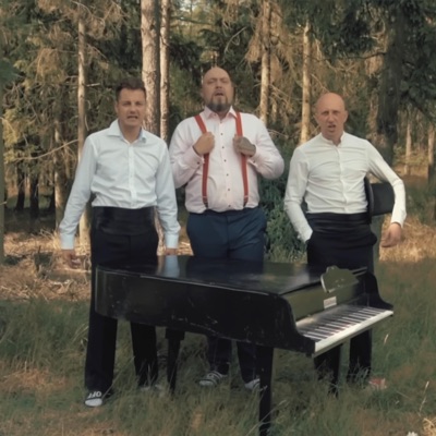 Chryzantemy złociste (COVER) (feat. LETNI) - Single