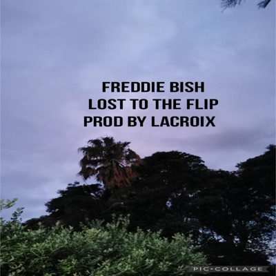 Lost to the Flip (feat. Freddie Bish) - Single