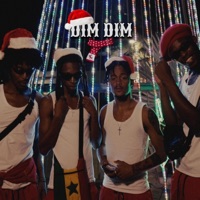 Dim Dim (feat. Rednav, Ze Grogu & Dibongu) - Single - R_One