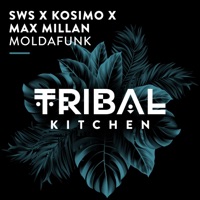 Moldafunk - Single - SWS, Kosimo & Max Millan
