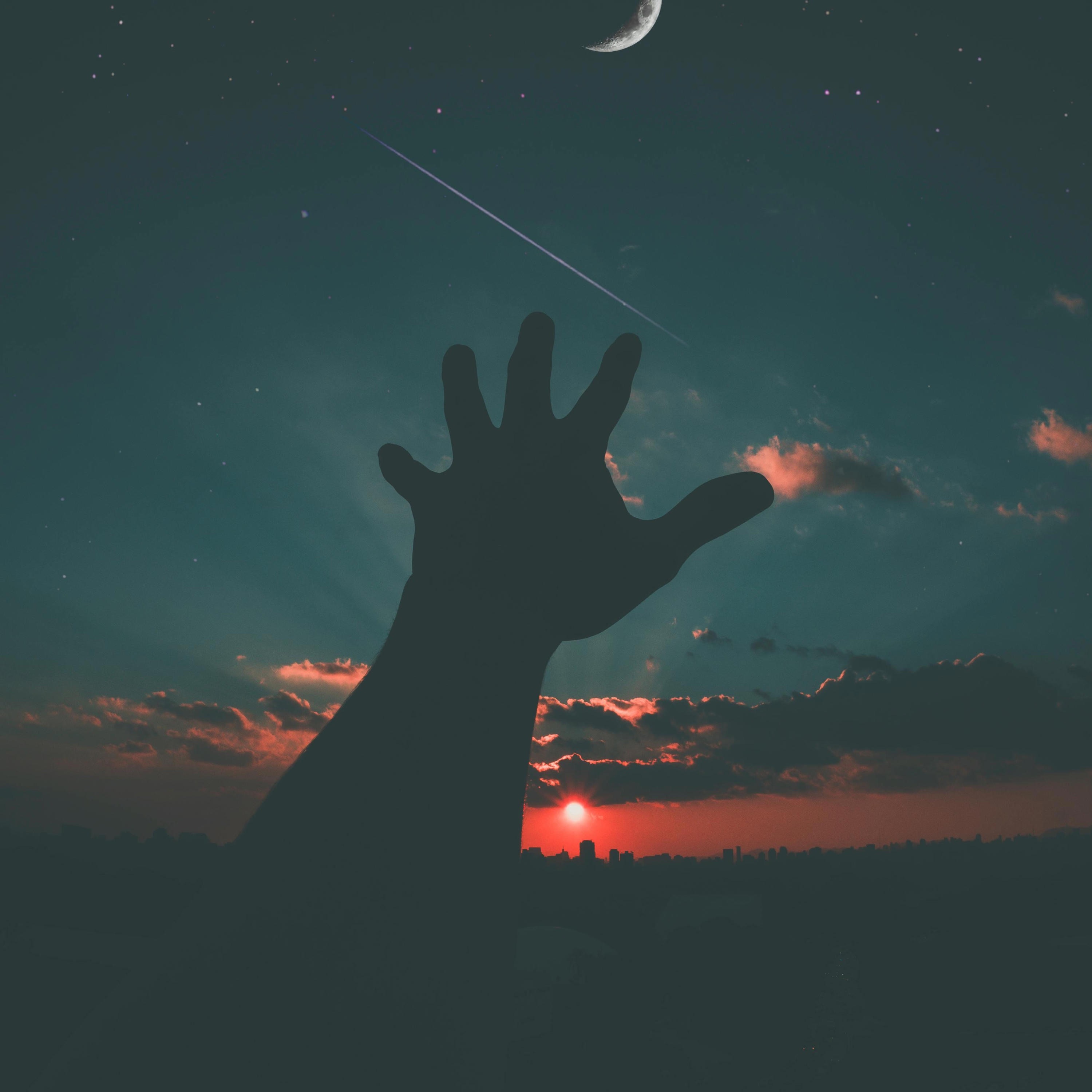 Banyan Tree - Single