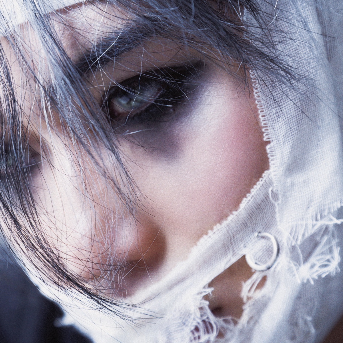 (sic)boy - DOUKE (2025) [iTunes Plus AAC M4A]-新房子