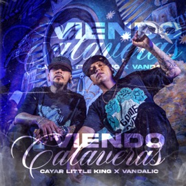 Viendo Calaveras Cayar the little king & Vandalic